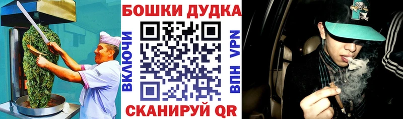 Купить  Железногорск-Илимский  Canna-Cookies конопля 