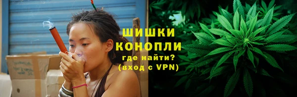 мдпв Елизово