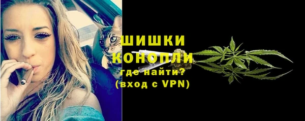 мдпв Елизово