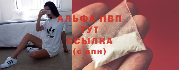 ПСИЛОЦИБИНОВЫЕ ГРИБЫ Ельня