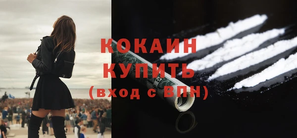 ПСИЛОЦИБИНОВЫЕ ГРИБЫ Ельня