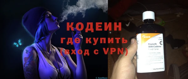 ПСИЛОЦИБИНОВЫЕ ГРИБЫ Ельня