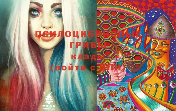 мдпв Елизово