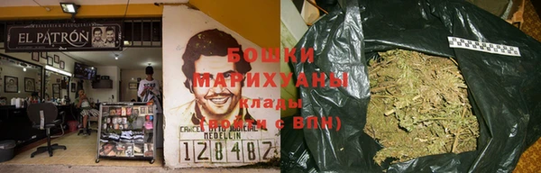 мдпв Елизово
