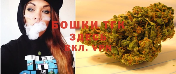 ПСИЛОЦИБИНОВЫЕ ГРИБЫ Ельня