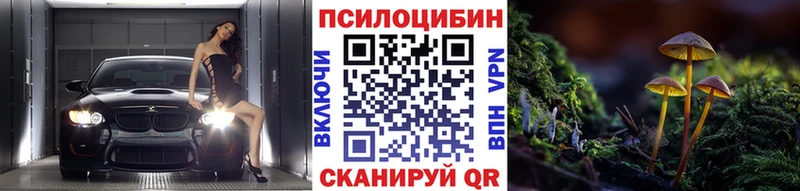 Галлюциногенные грибы Psilocybe  Купить  Железногорск-Илимский 