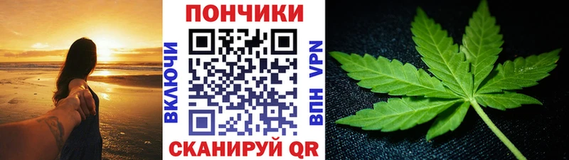 Канабис гибрид  Купить закладки  Железногорск-Илимский 